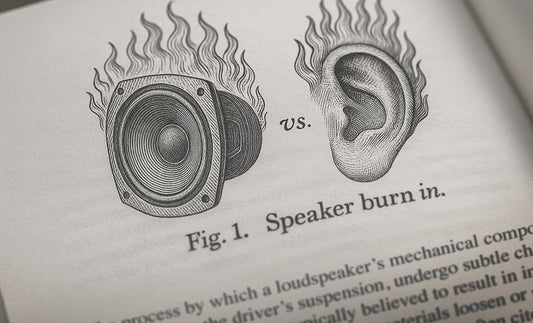 Burn-In: Real or Imagined